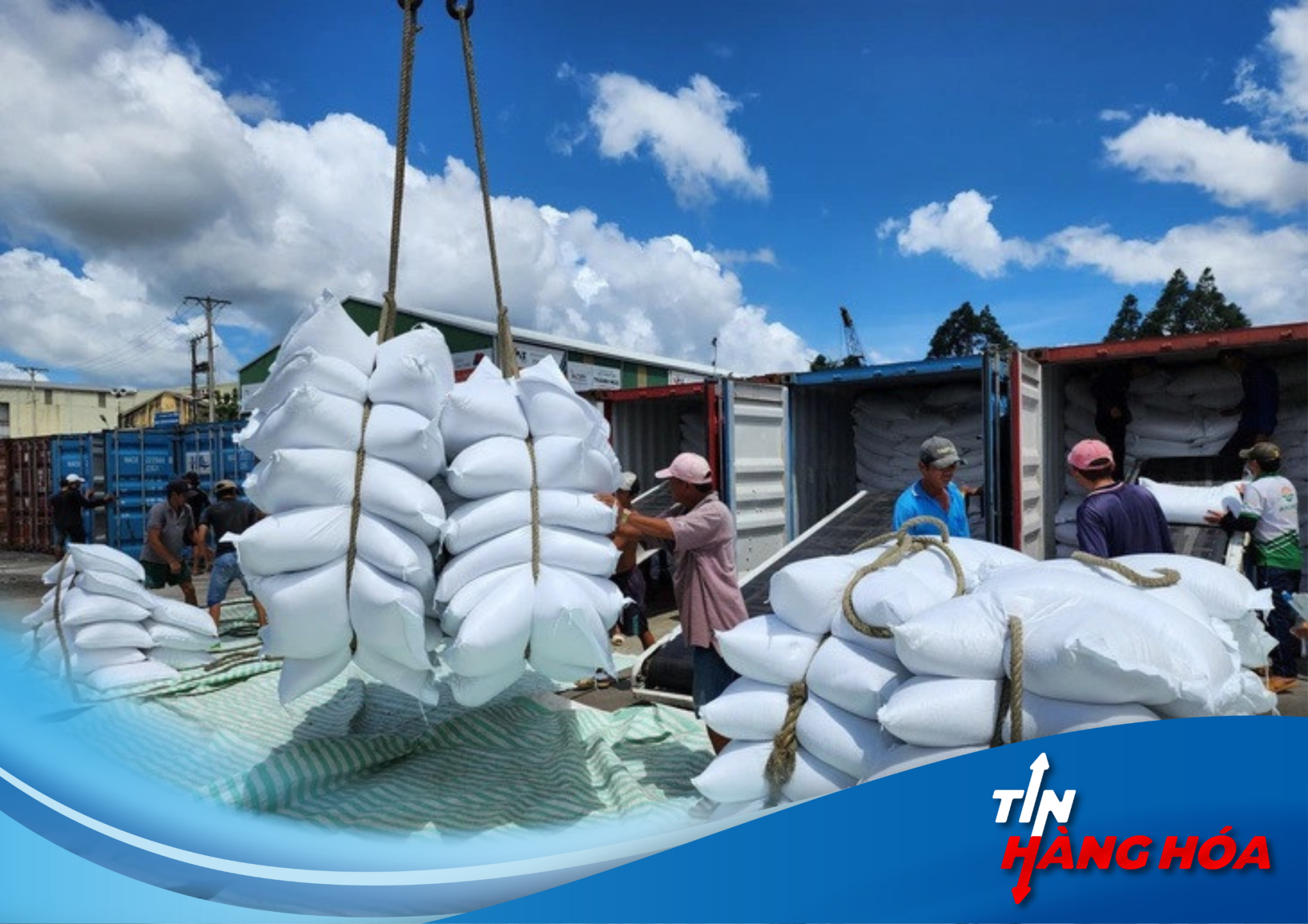 Triển Vọng Tăng Trưởng Cho Gi&aacute; Gạo Xuất Khẩu